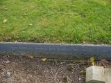 image of grave number 196602
